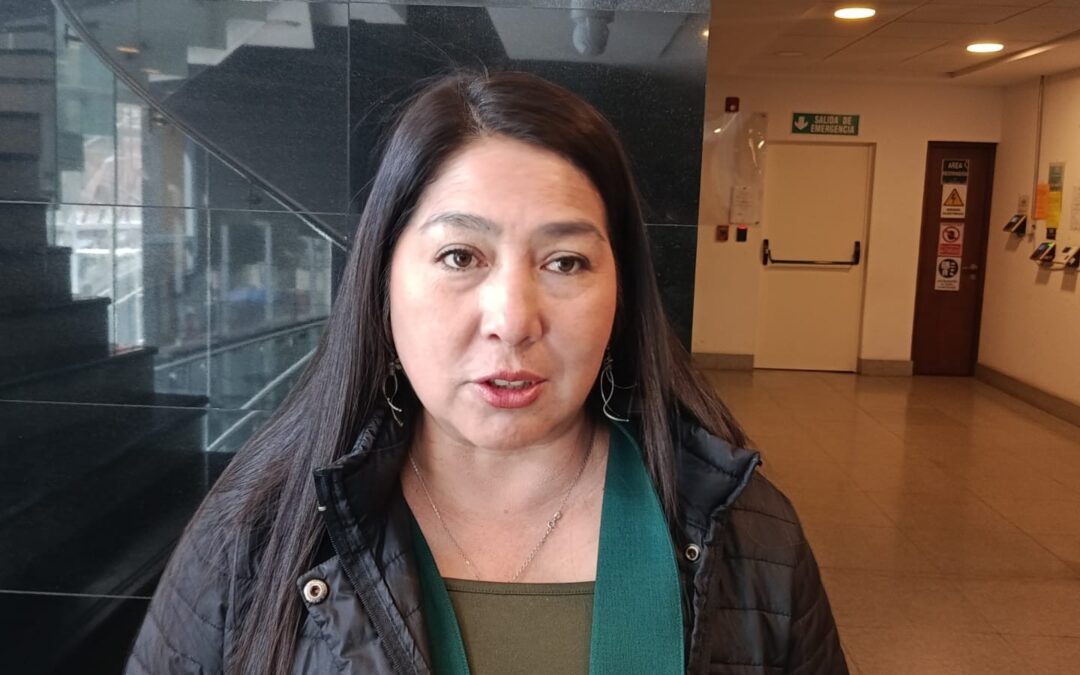 Proyecto de Ley de Importación de Carburantes Encajonado por ‘Trámites Administrativos’ y ‘Politización’, Denuncia Diputada Rosario García (MAS)